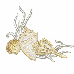 May include: A white seashell with brown and white stripes, a smaller seashell with brown and white stripes, and a white coral branch.