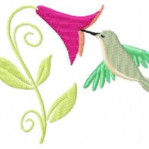 Hummingbird with Flower Machine Embroidery Design - Instant Digital Download Embroidery File