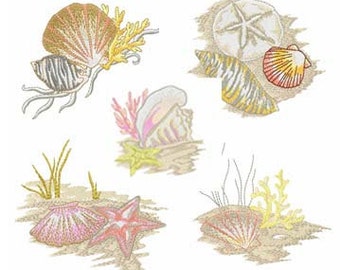 Seashells Machine Embroidery Design Collection 9 Designs in One Package - Instant Digital Download