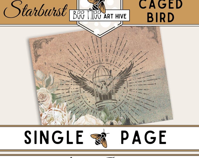 Bird Scrapbook Paper | Starburst Caged Bird, Vintage White Flowers, Distressed Ombre Digital Paper, Decorative Paper, Scrapbooking, Journal