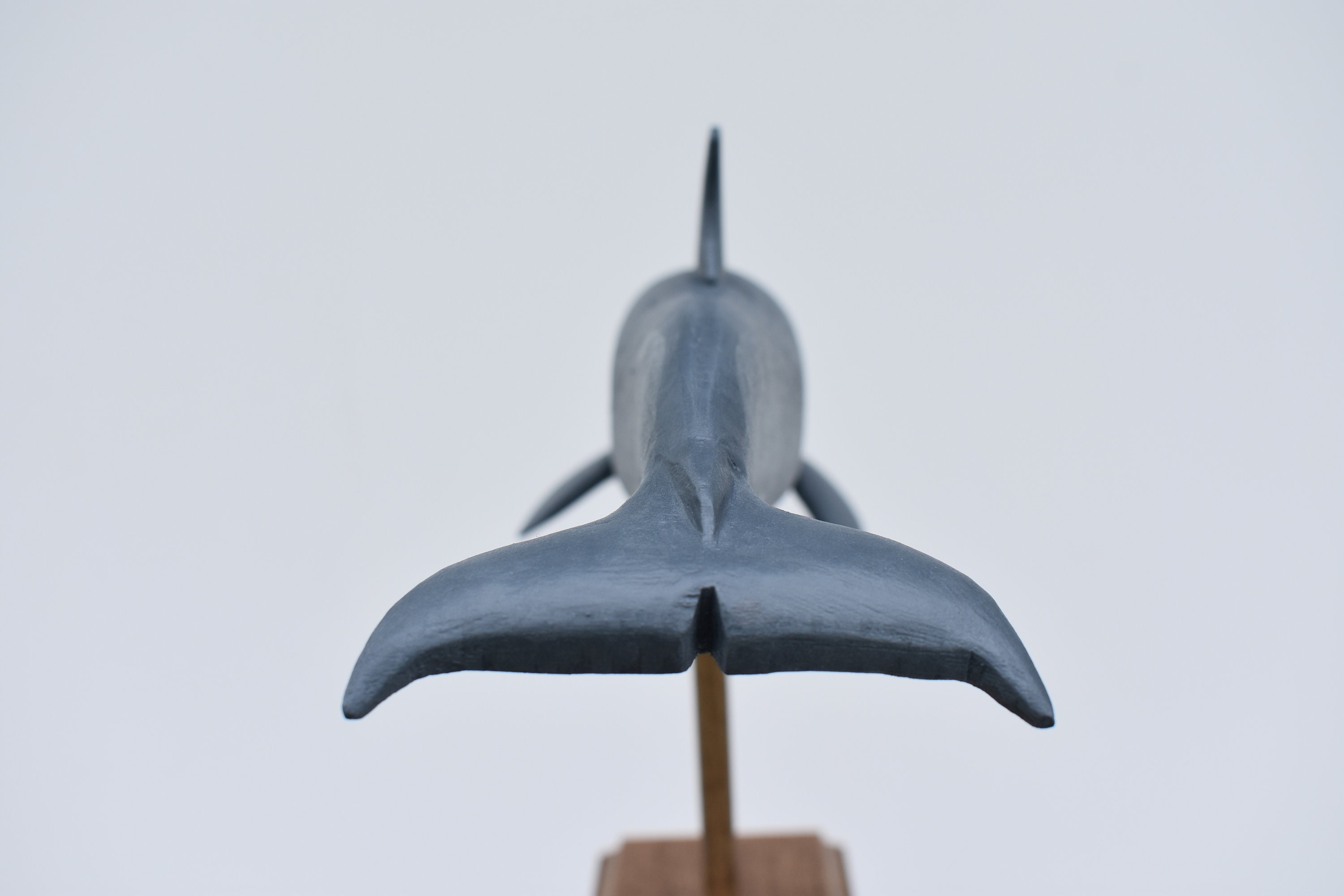 Pygmy Killer Whale in Rescued Hardwood #2 - Etsy