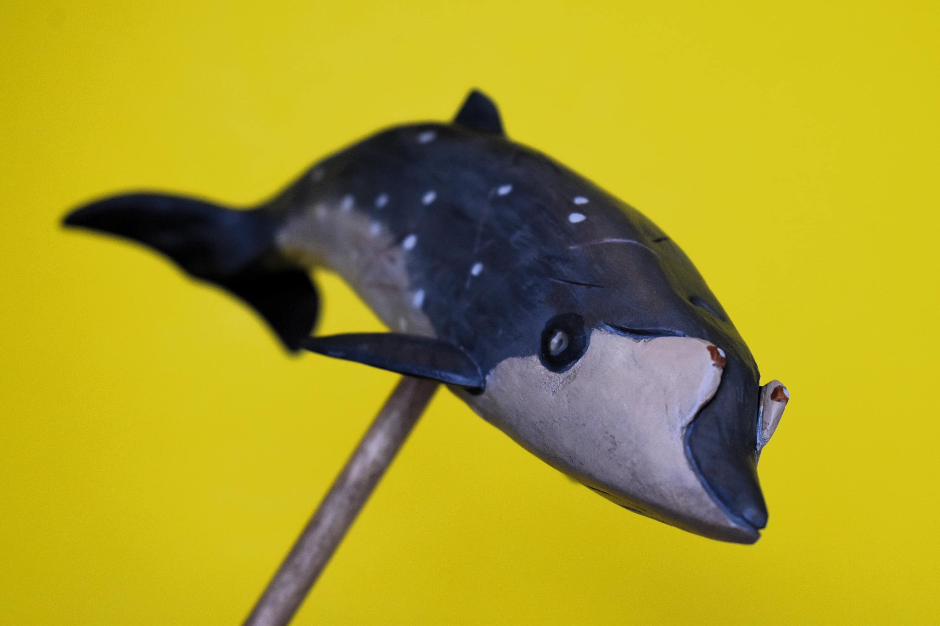 Blainville's Beaked Whale in Recycled Hardwood #3 - Etsy