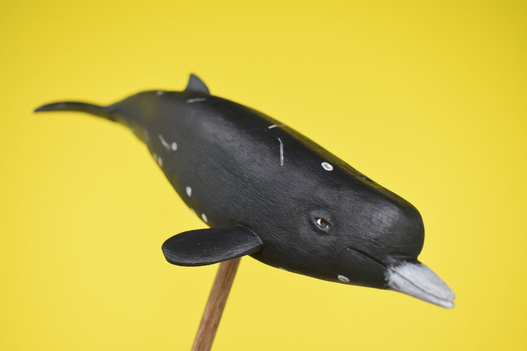 Berardius Minimus Etsy