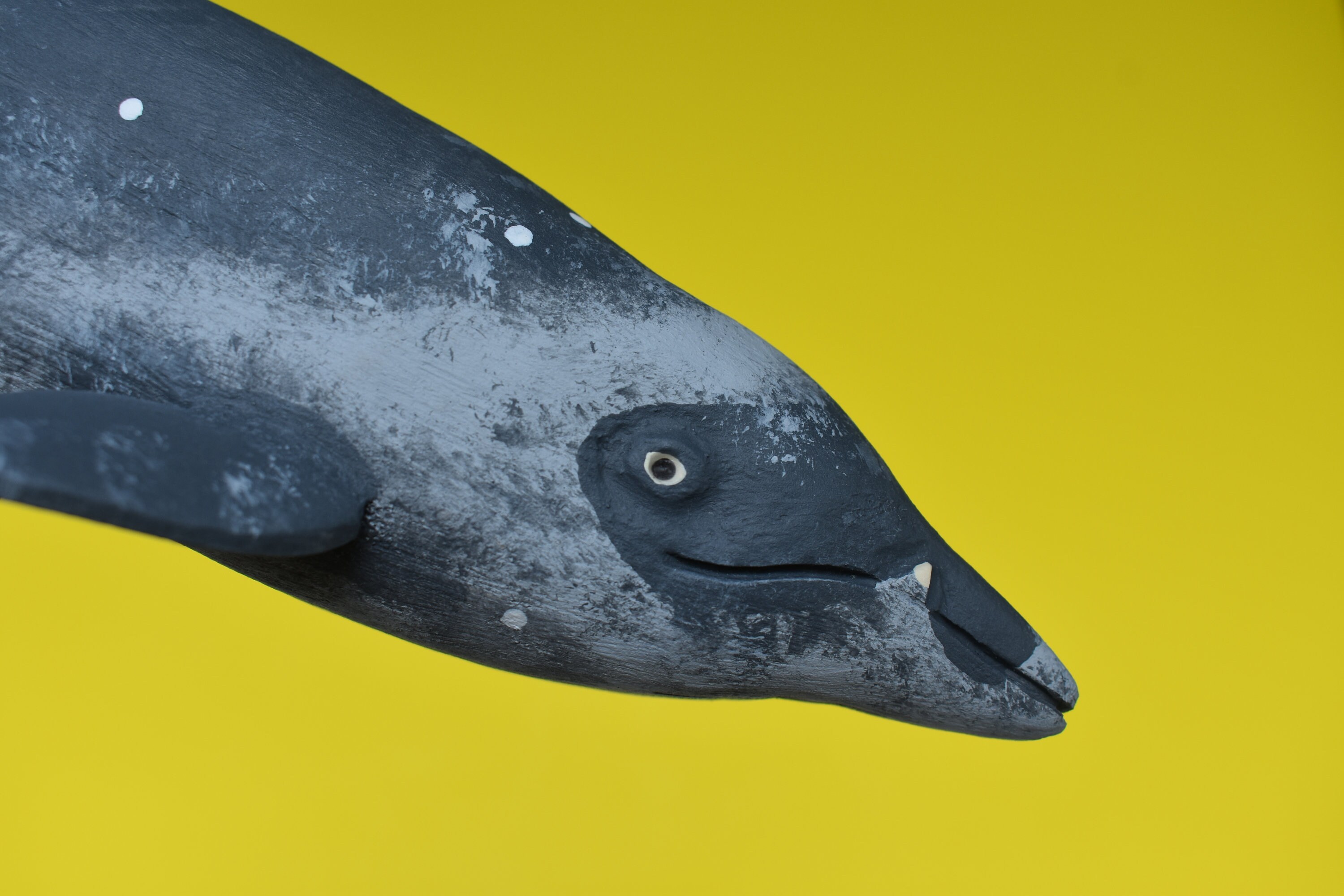 Ginkgo-toothed Beaked Whale in Recycled Hardwood #2 - Etsy Canada