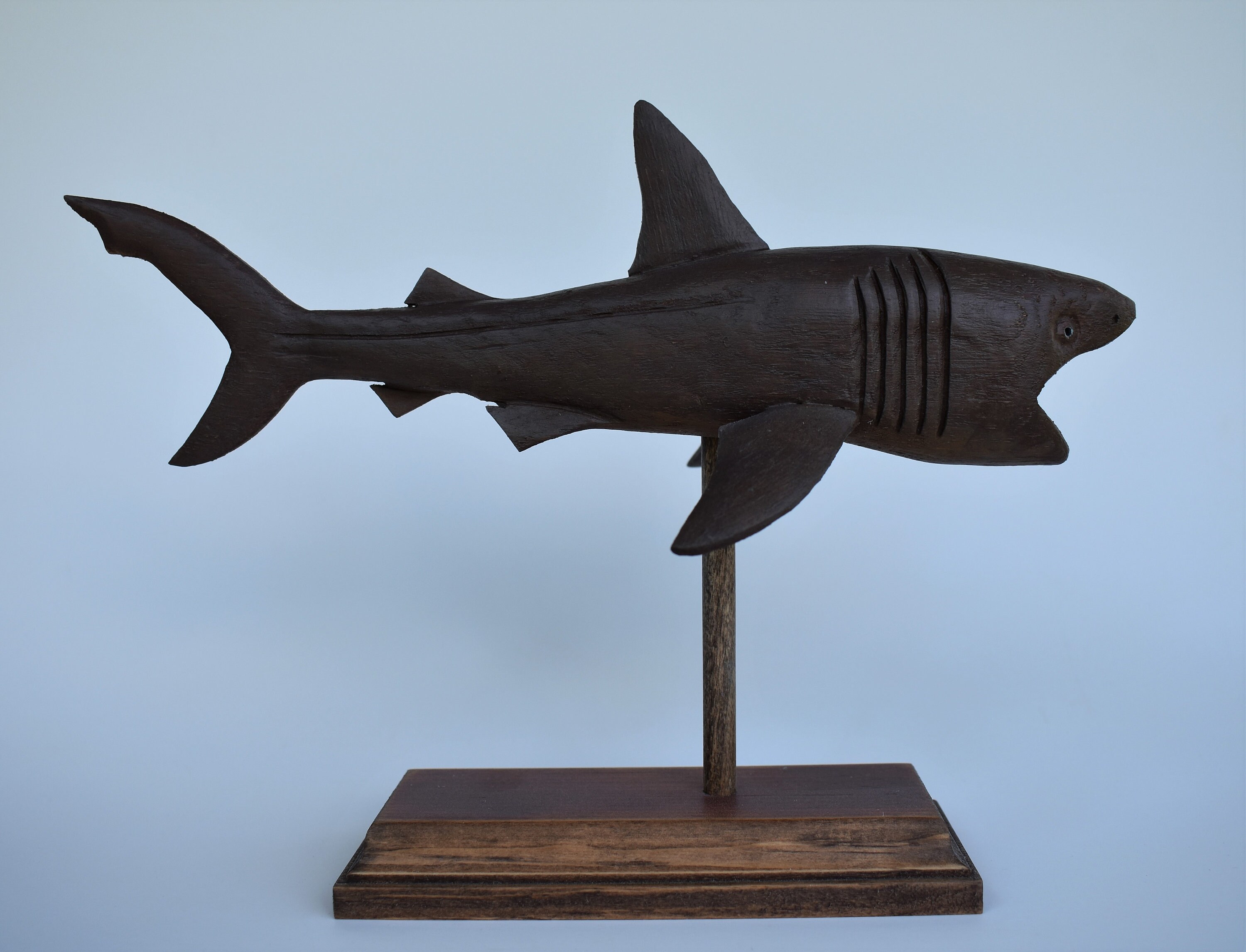 Basking Shark in Recycled Hardwood 