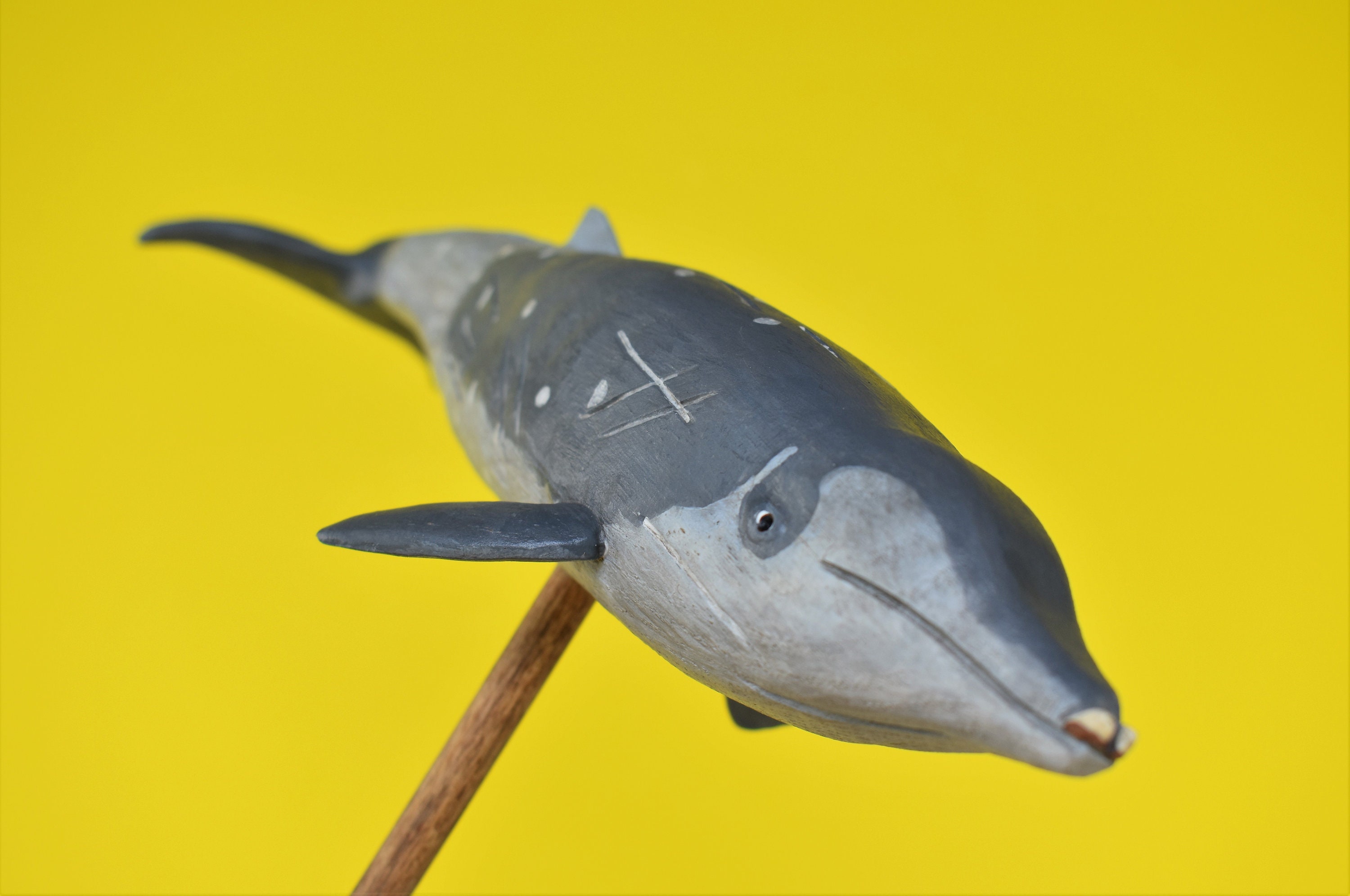 True's Beaked Whale in Rescued Hardwood - Etsy