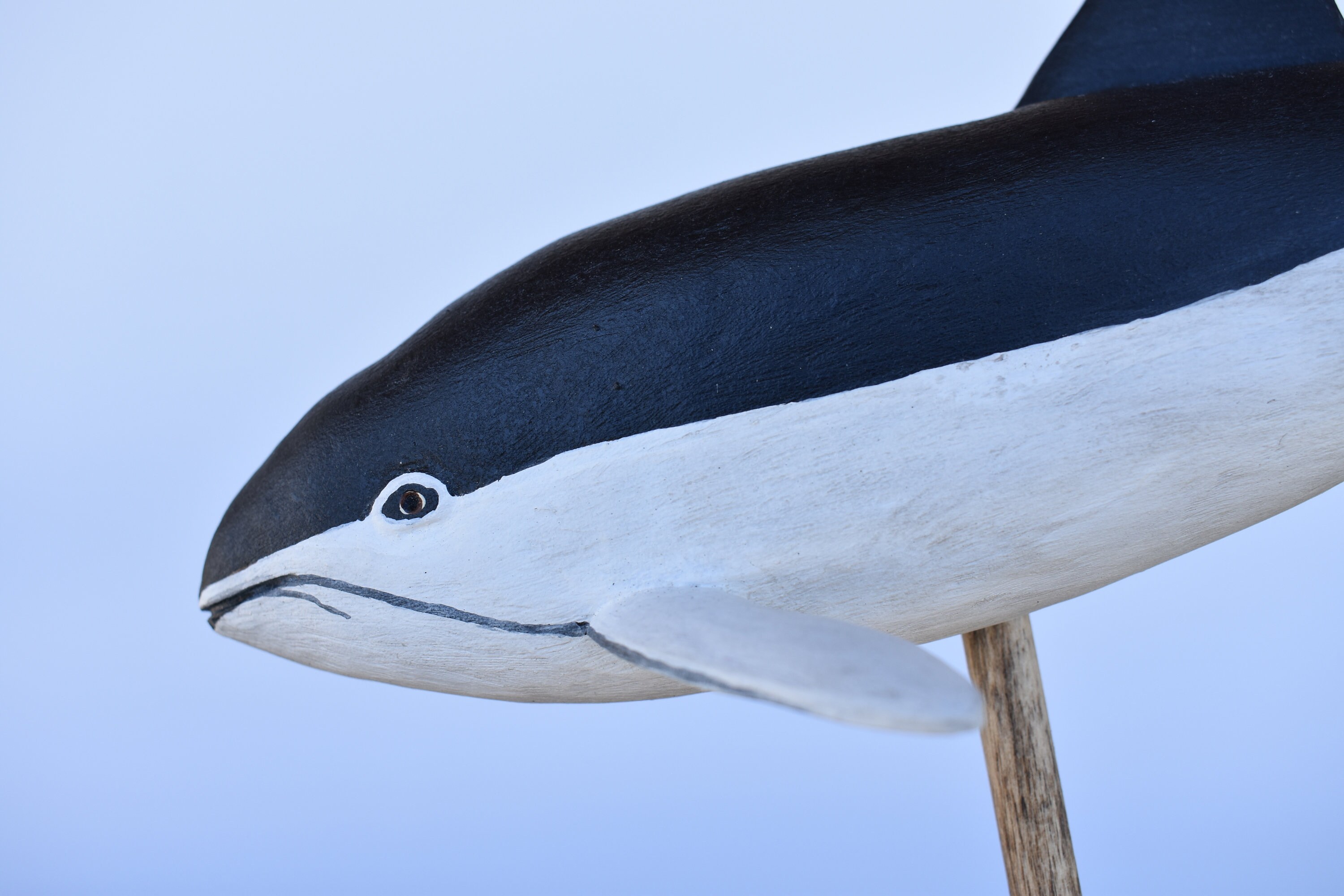 Spectacled Porpoise in Rescued Hardwood - Etsy