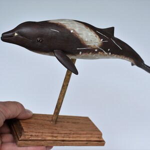 Peruvian Pygmy Beaked Whale in Recycled Hardwood image 9