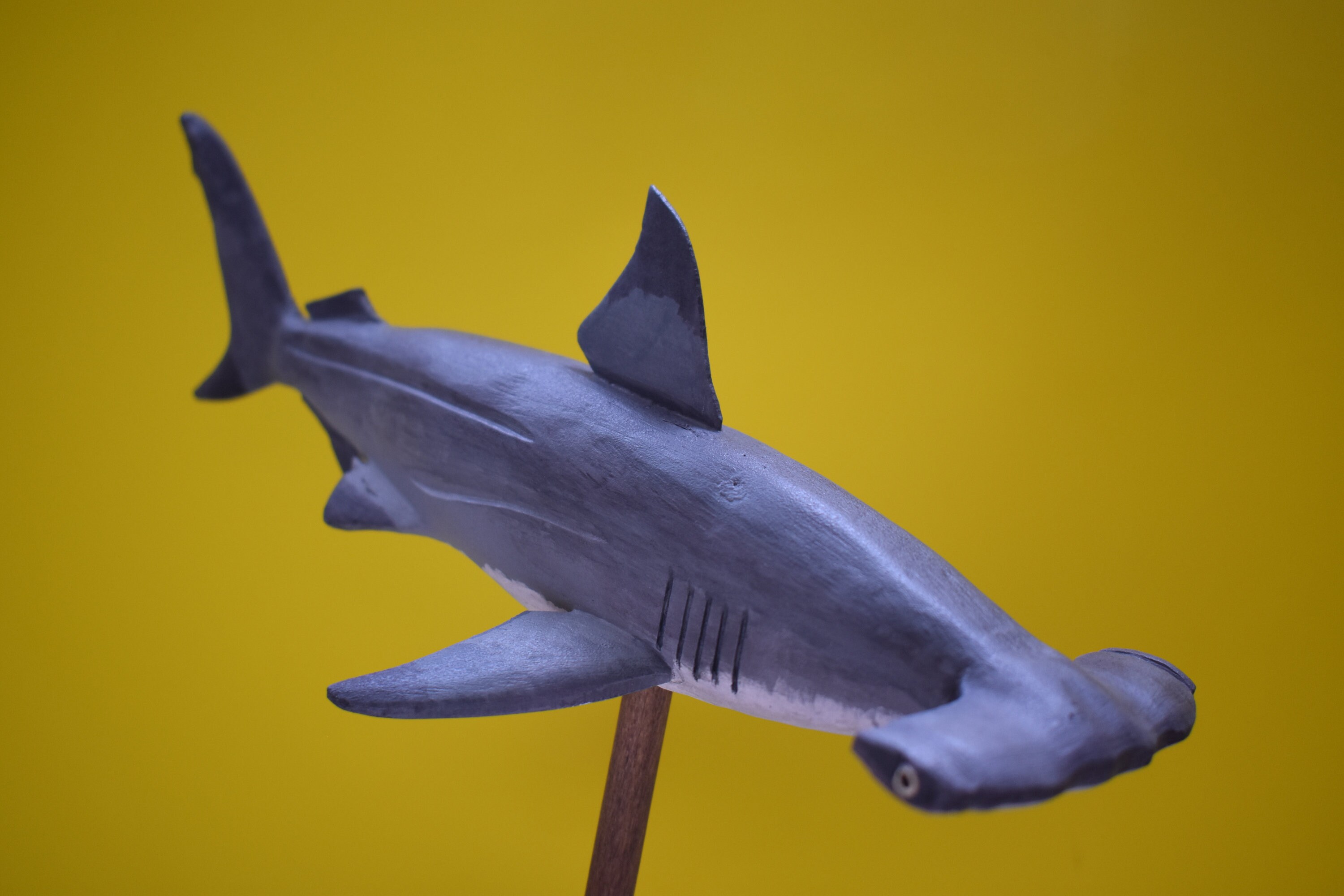 Requin Marteau Festonne 3 Etsy