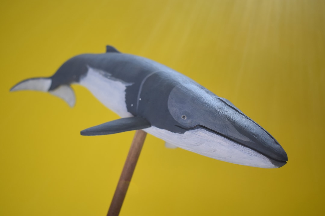 Fin Whale in Recycled Hardwood #5 - Etsy