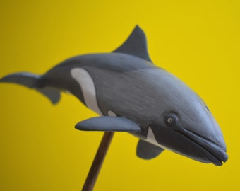 Heaviside's Dolphin in Rescued Hardwood #3