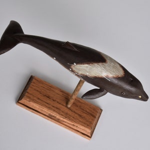 Peruvian Pygmy Beaked Whale in Recycled Hardwood image 5