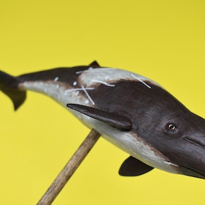 Peruvian Pygmy Beaked Whale in Recycled Hardwood image 1