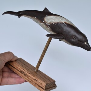 Peruvian Pygmy Beaked Whale in Recycled Hardwood image 7