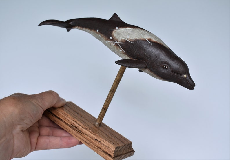 Peruvian Pygmy Beaked Whale in Recycled Hardwood image 7