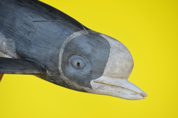 Northern Bottlenose Whale in Rescued Hardwood #3 - Etsy