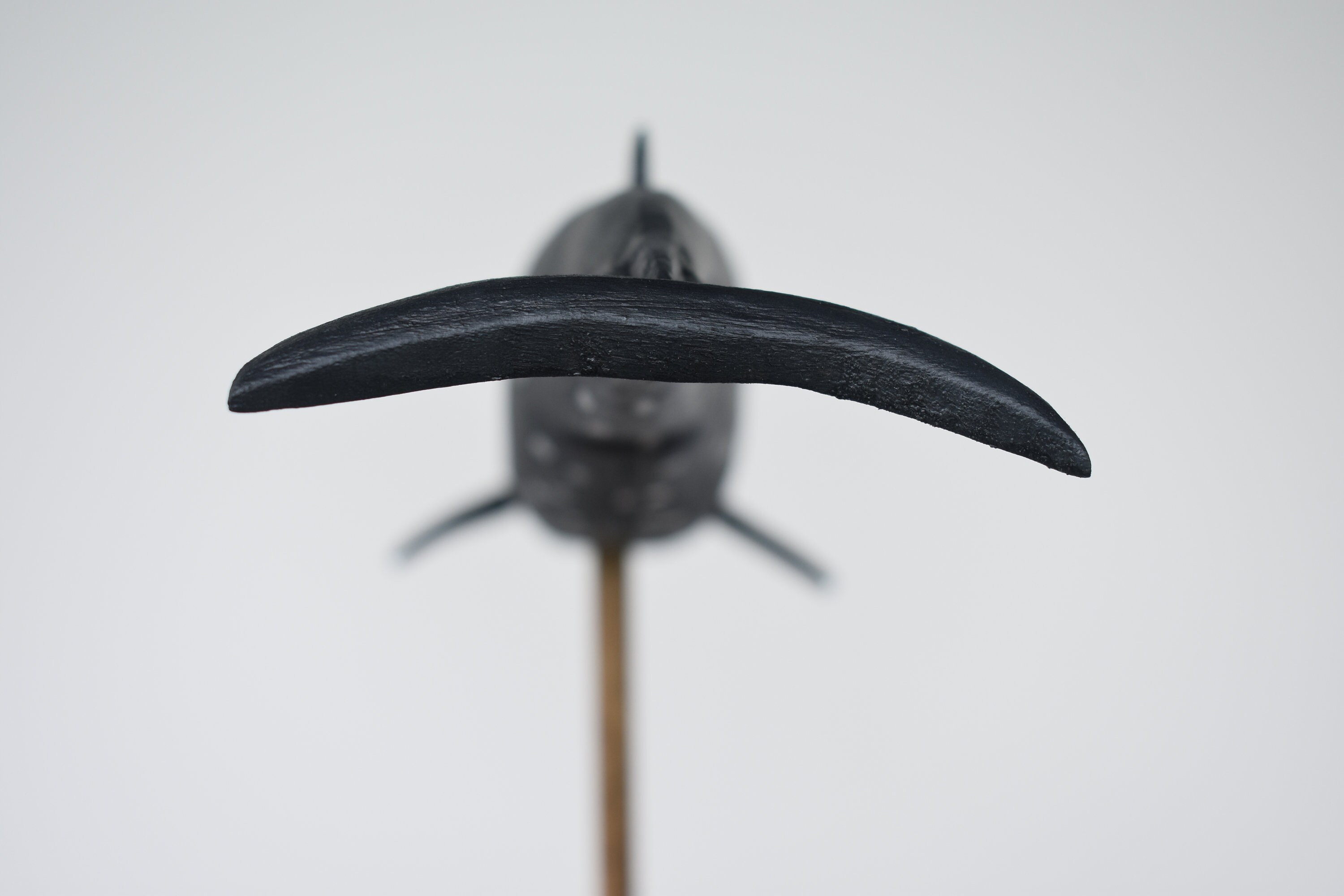 Berardius Minimus Etsy