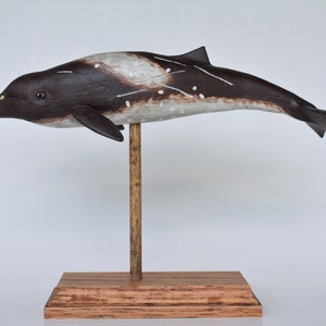 Peruvian Pygmy Beaked Whale in Recycled Hardwood image 3