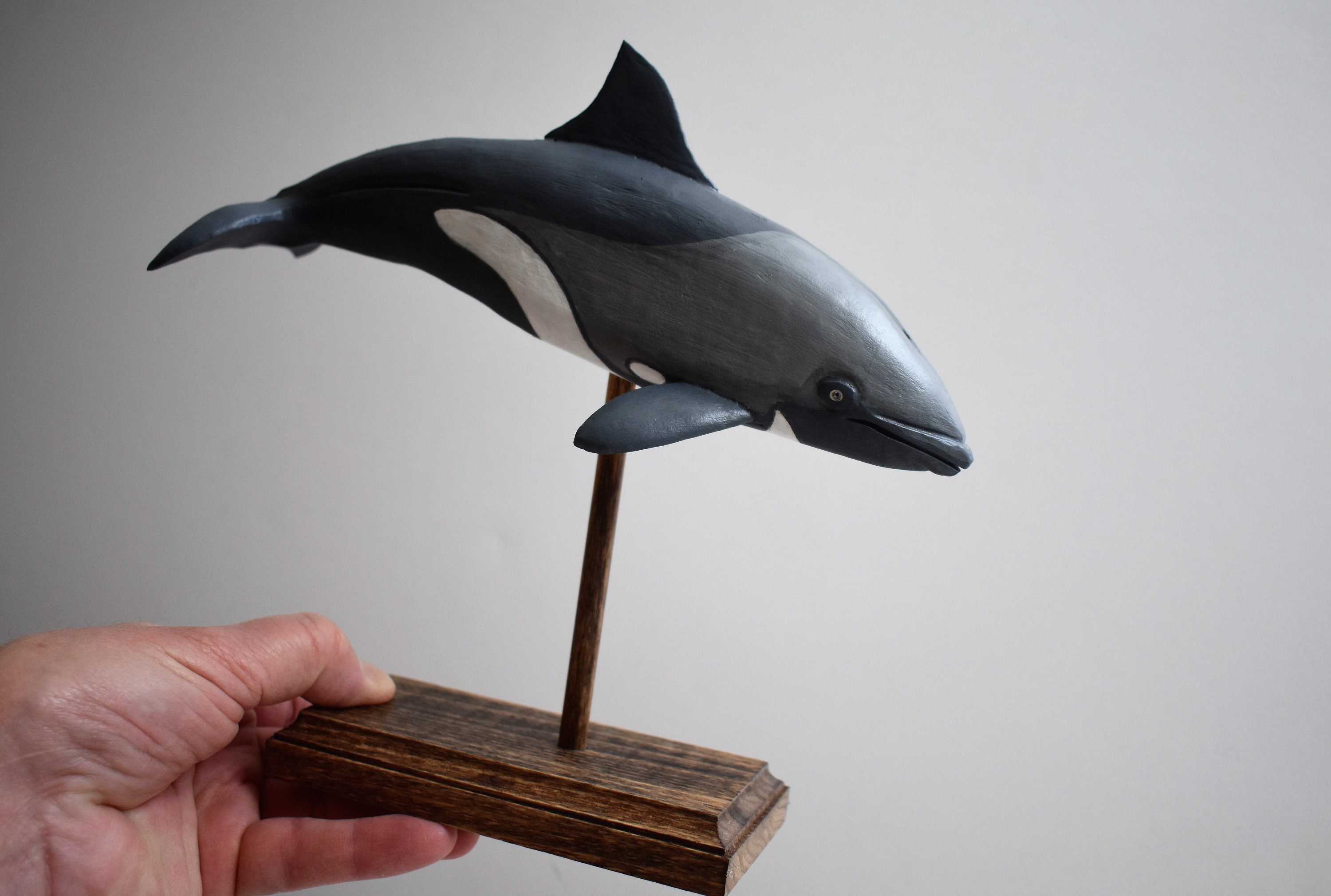 Heaviside's Dolphin in Rescued Hardwood #3 - Etsy
