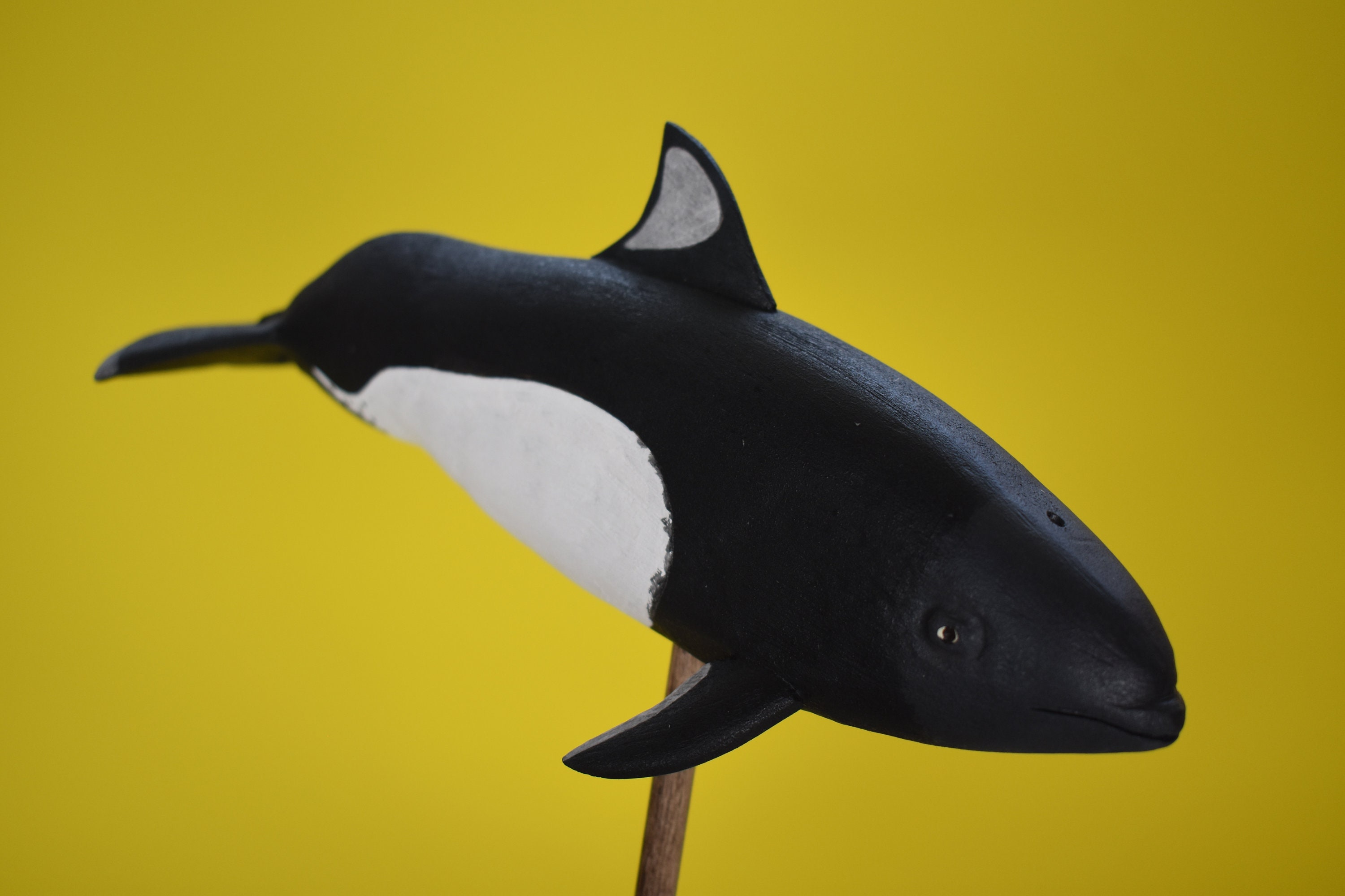 Dall's Porpoise in Rescued Hardwood #2 - Etsy