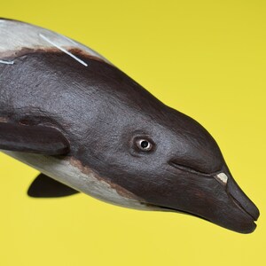 Peruvian Pygmy Beaked Whale in Recycled Hardwood image 8