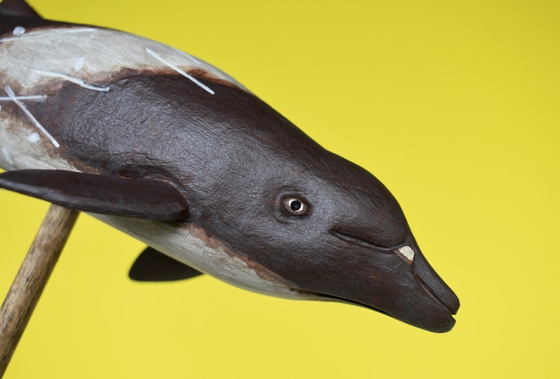 Peruvian Pygmy Beaked Whale in Recycled Hardwood image 8