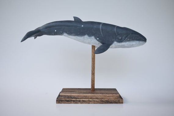 Pygmy Right Whale in Rescued Hardwood #6 - Etsy