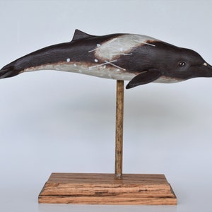 Peruvian Pygmy Beaked Whale in Recycled Hardwood image 2