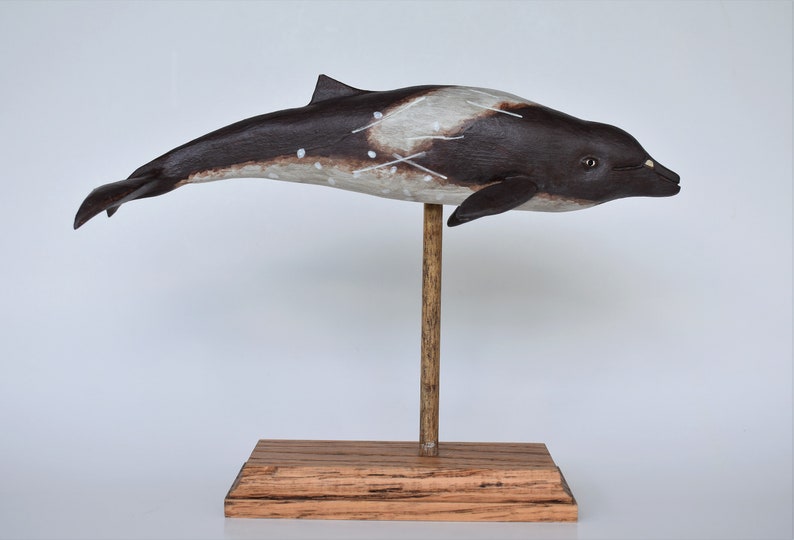 Peruvian Pygmy Beaked Whale in Recycled Hardwood image 2