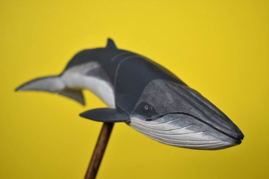 Bryde's Whale in Rescued Hardwood #2 - Etsy