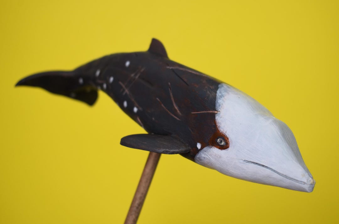 未使用品 レコード 再販黒盤　comings　WHALE LIVING Cuvier's Beaked Whale in Rescued Hardwood #8 - Etsy