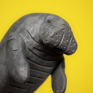 Wine Glass Manatee #4