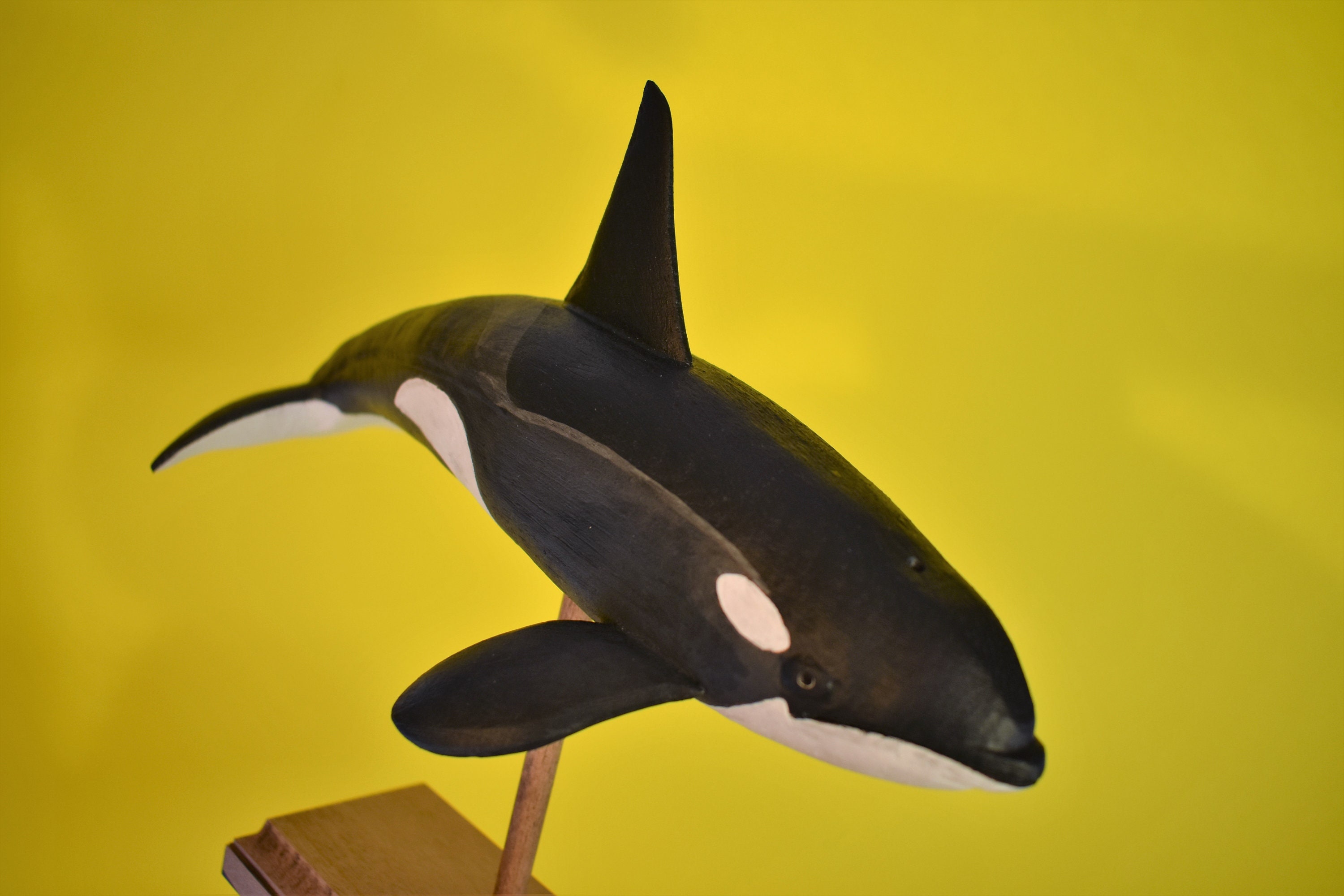 Orca Type C in Rescued Hardwood #3 - Etsy