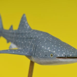 Whale Shark in Hardwood #8