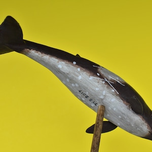 Peruvian Pygmy Beaked Whale in Recycled Hardwood image 6