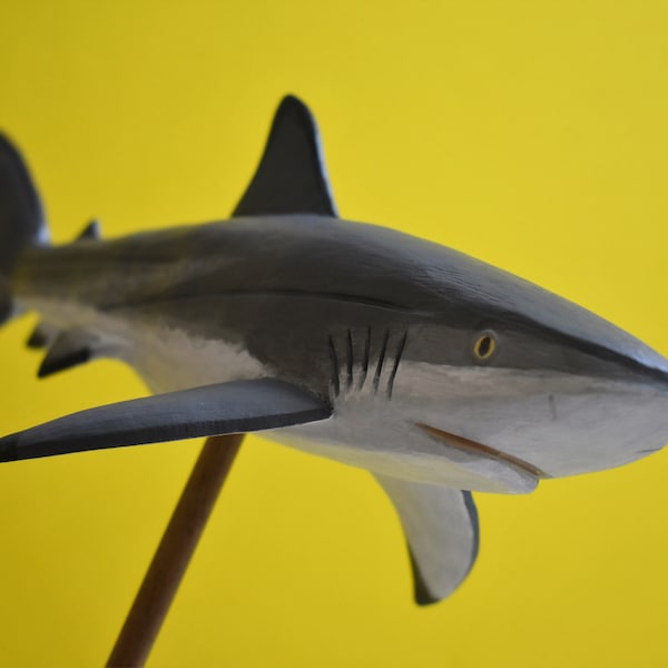 Requin sombre dans du bois dur recyclé