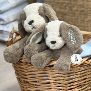 May include: Two plush dog toys in a wicker basket. The dogs are brown and white with floppy ears and embroidered facial features. One dog has the name "Cason" embroidered on its ear. The basket is woven with a light brown color.