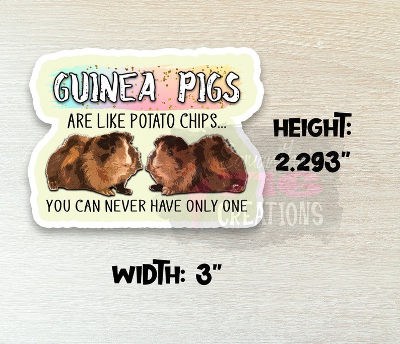Op de afbeelding: Een sticker met een kleurrijke achtergrond en de tekst "Guinee-biggetjes zijn als chips... Je kunt er nooit maar &eacute;&eacute;n hebben." Twee cavia's zijn afgebeeld, &eacute;&eacute;n bruin en wit en de andere bruin. De sticker is 2,293 inch hoog en 3 inch breed.