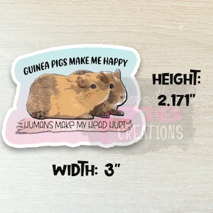 Guinea Pig Stickers: Water Resistant Vinyl Decals Head Hurt
