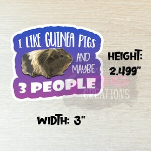 Op de afbeelding: Een paarse en blauwe sticker met een cavia en de tekst "Ik hou van cavia's en misschien 3 mensen". De sticker is 3 inch breed en 2,499 inch hoog.