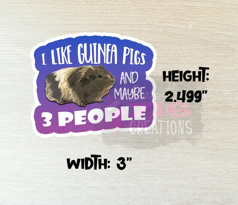 Op de afbeelding: Een paarse en blauwe sticker met een cavia en de tekst "Ik hou van cavia's en misschien 3 mensen". De sticker is 3 inch breed en 2,499 inch hoog.