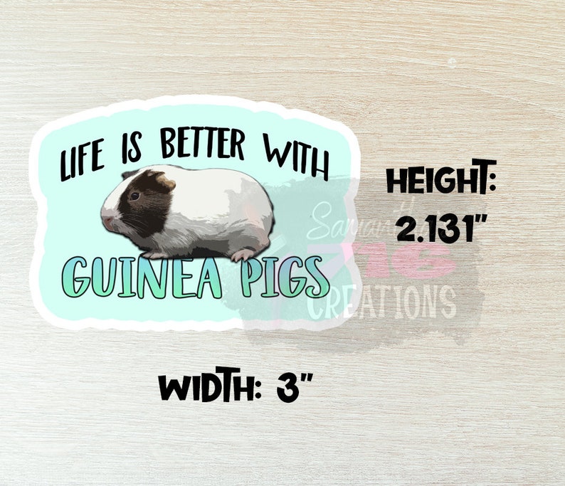 Op de afbeelding: Een sticker met een lichtblauwe achtergrond en witte tekst die "Het leven is beter met cavia's" luidt. Een cartooncavia bevindt zich in het midden van de sticker. De sticker is 3 inch breed en 2,131 inch hoog.