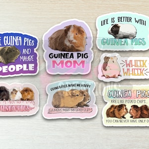 Guinea Pig Stickers: Water Resistant Vinyl Decals afbeelding 1