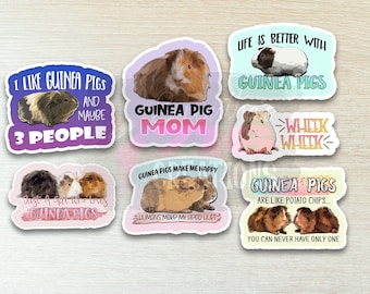 Guinea Pig Stickers: Water Resistant Vinyl Decals