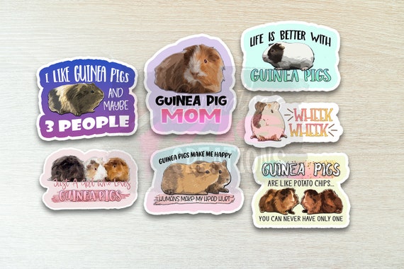 Guinea Pig Stickers: Water Resistant Vinyl Decals