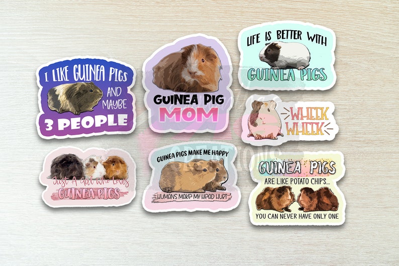 Guinea Pig Stickers: Water Resistant Vinyl Decals afbeelding 1