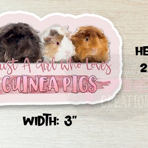 Op de afbeelding: Een roze en witte sticker met drie cavia's. De cavia's zijn bruin, wit en oranje. De sticker zegt "Just a girl who loves guinea pigs". De sticker is 7,62 cm breed en 5,72 cm hoog.