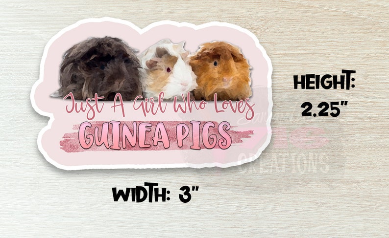 Op de afbeelding: Een roze en witte sticker met drie cavia's. De cavia's zijn bruin, wit en oranje. De sticker zegt "Just a girl who loves guinea pigs". De sticker is 7,62 cm breed en 5,72 cm hoog.