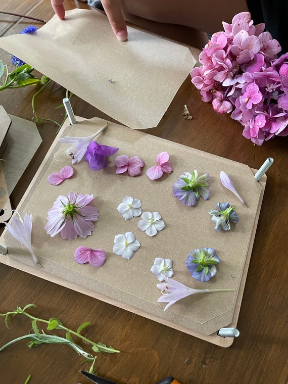 Cinvo Kit de prensa de flores, juego de prensa de hojas para plantas, 6 x 8  pulgadas, 6 capas de flores secas naturales, prensa natural para