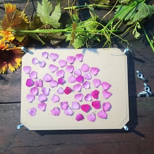 Flower Press with personalization, Drying flowers for garden memories, Birthday gift, Garden gift, botanical press with cardboards, m12 image 10